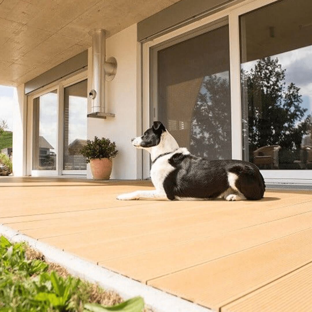 Golden retriever resting on a low-maintenance Wiedehopf composite wood porch deck, showcasing pet-friendly durability.